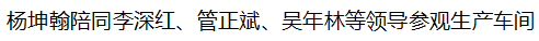 【政企關(guān)系】江蘇省高郵市人民政府副市長(zhǎng)李深紅一行考察調(diào)研中挖工業(yè)